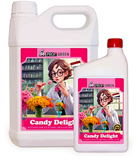 Candy Delight