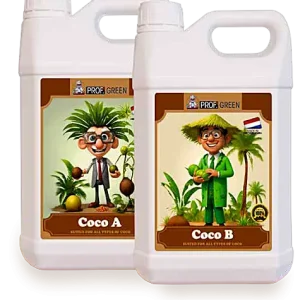 Coco A+B