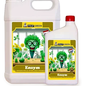 Enzym