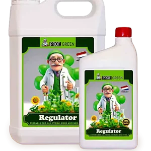 Regulator