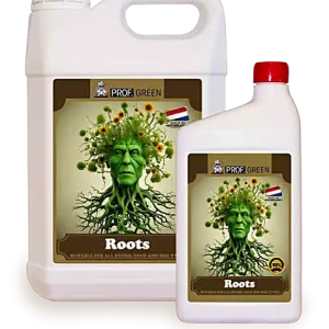 Roots