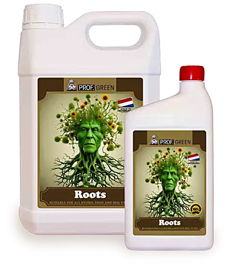 Roots