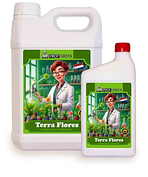 Terra Flores