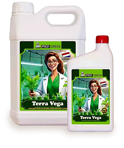 Terra Vega